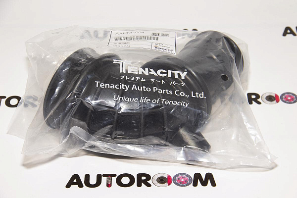 Патрубок воздушного фильтра Tenacity AAHNI1004
